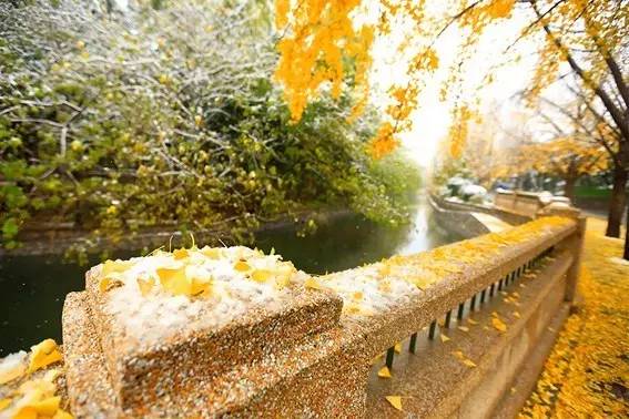 原来你是这样的00后大学生英语,原来你是这样的00后大学生