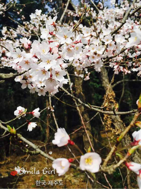 回顾往年的旅行,回顾今年的总结