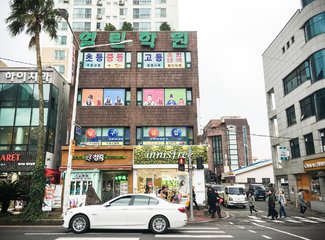 济州岛游记记录,济州岛的春天旅行日记