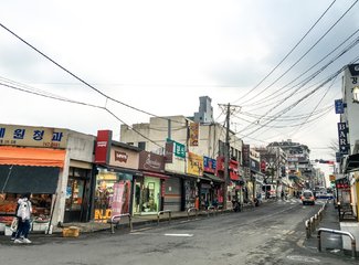 济州岛游记记录,济州岛的春天旅行日记