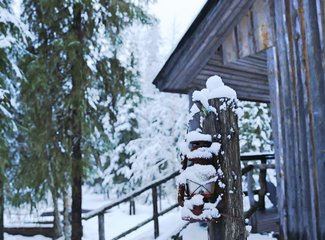 北欧雪中漫步芬兰,北欧四国游丹麦瑞典挪威芬兰