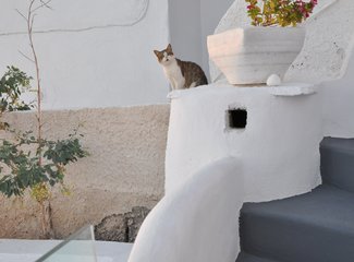 爱琴海旅游日志,爱琴海的梦幻之旅