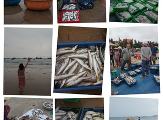 瓒婂崡鐨勯噹蹇冨埌搴曟湁澶氬ぇ,瓒婅瓒婂崡