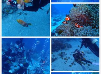 去台湾旅行的意义,台湾旅行要准备什么