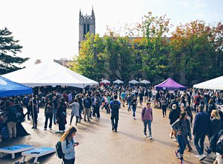 西雅图极光攻略,费尔班克斯极光旅游攻略