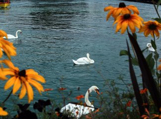 记忆里的那一抹蓝作文,记忆中的那一抹蓝色