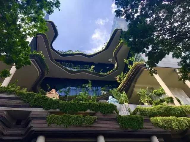 打造设计师社群,设计师沟通社群