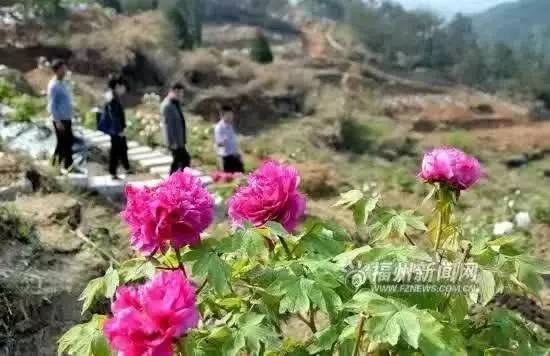 福州52件大事,福州最值得做的52件事