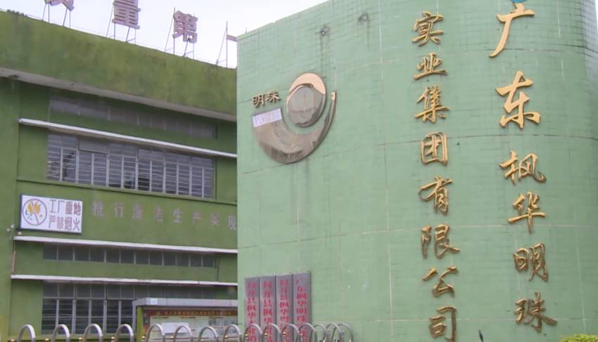 他家的木板堪称“钢板”？你们相信吗？