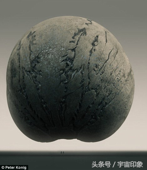 地球外来物种有哪些,地球下一代物种长什么样