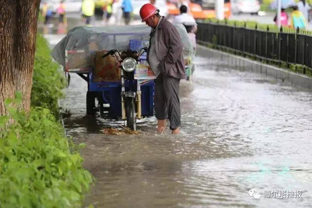 影像记忆资料,影像记忆与群体历史
