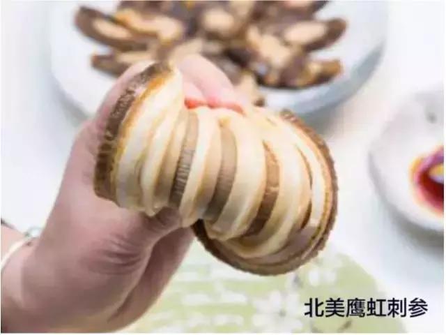 阿拉斯加刺参和加拿大刺参的区别,刺参哪个国家的最好