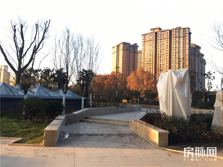 见证西安的发展,见证西安走进碑林