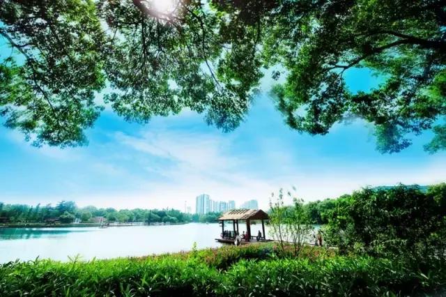 常州“最美乡镇”巡礼——东大门的741人家