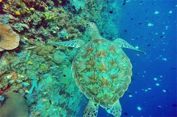大家以前是不是都拍过这样的照片,每个人都见过的照片