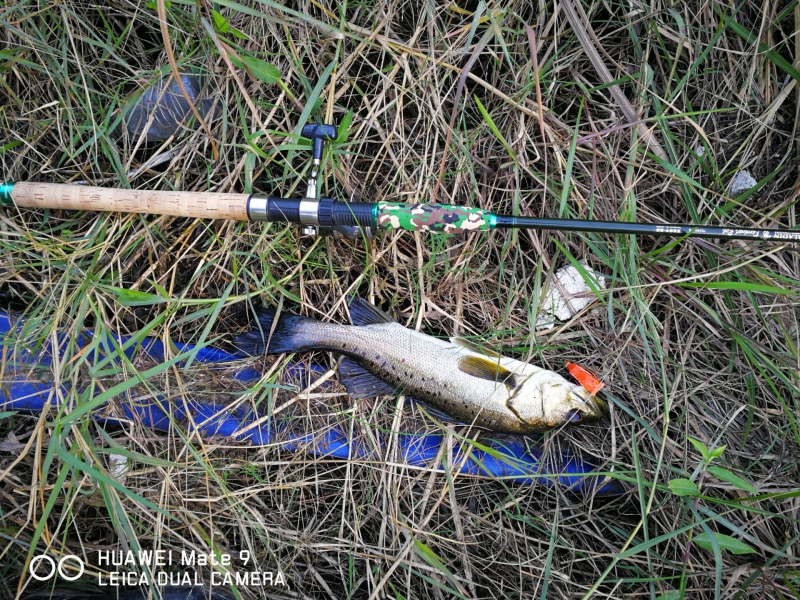 路亚新春出钓视频,路亚钓鱼爆竿搞笑合集