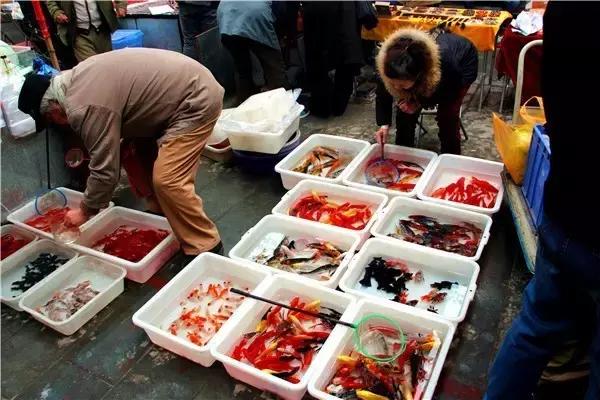 天津淘宝街搬哪去了,天津淘宝街地址有哪些