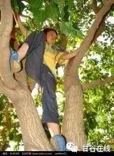 甘谷民谣15首,甘谷谣经典歌曲