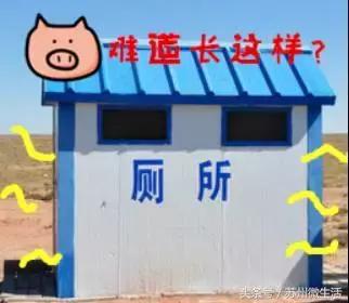 苏州的好看的东西,苏州vs纽约