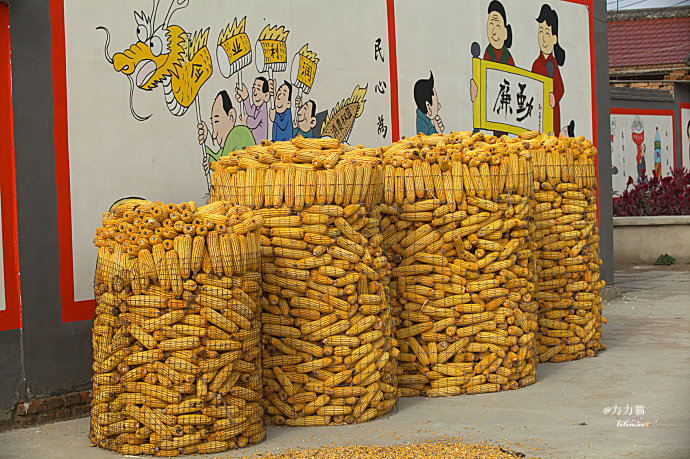 农村生活收纳箱,农村粮食收纳仓