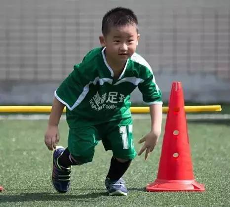 在深圳培训什么好,在深圳报名辅导班