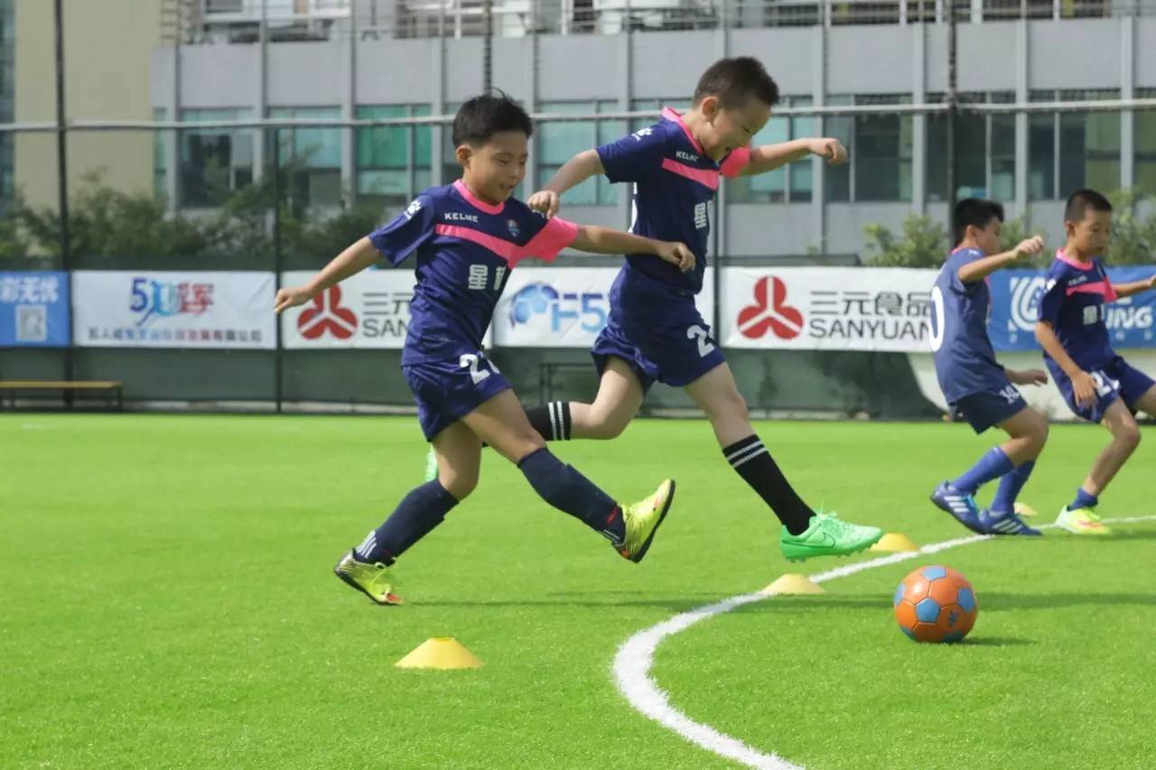 在深圳培训什么好,在深圳报名辅导班