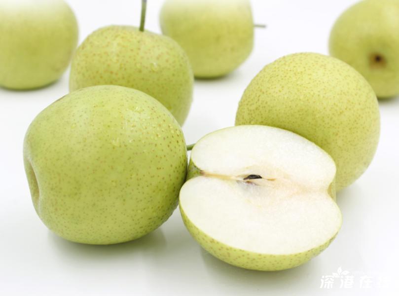 吸进太多灰尘怎么清肺,吸入的雾霾气体怎么排出