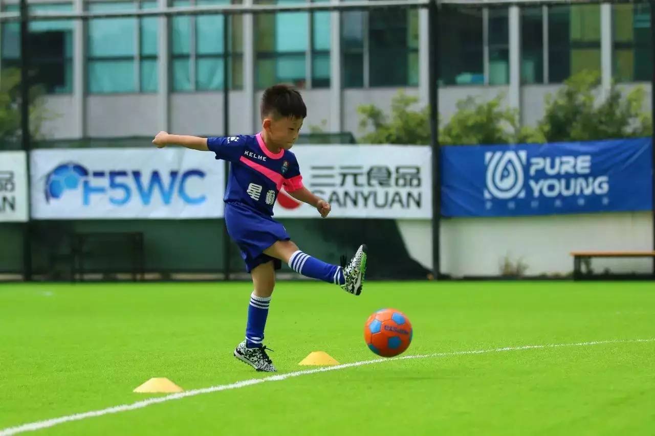 在深圳培训什么好,在深圳报名辅导班