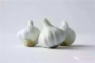 五种食物很难闻，但对女性很有益！