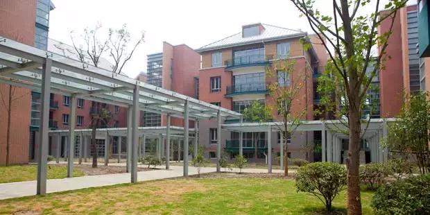 小升初牛蛙,小升初失利视频