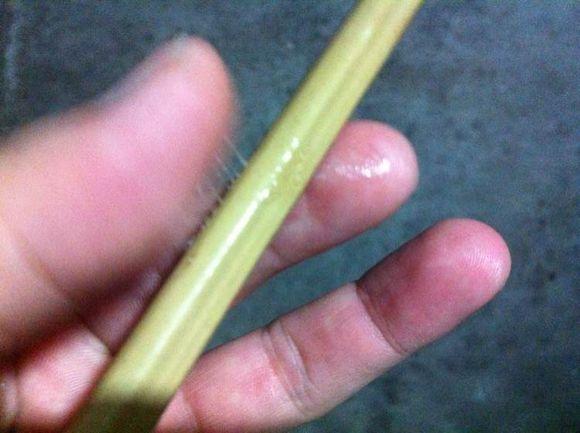 自己用竹子手工打造钓鱼竿，附上完整设计图和流程图