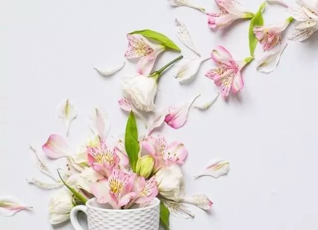 宫颈癌疫苗的最新进度,宫颈癌疫苗最新消息持续更新