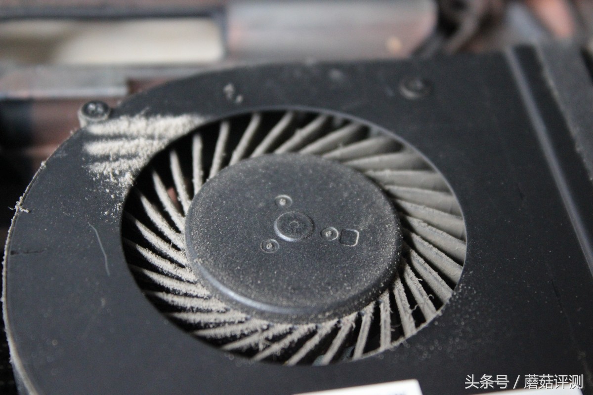 戴尔inspiron3421加装固态,戴尔笔记本inspiron143476拆机