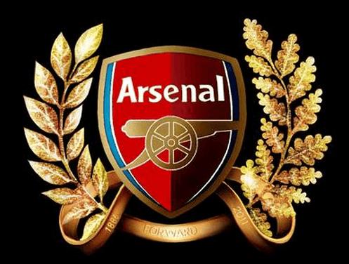 足球队徽的要素,足球队徽要求有科技感