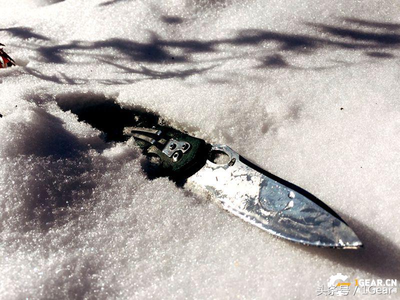 国产一样牛！生产户外用品的专业刀商,隐藏毒牙的猛兽蝮蛇小*刀折**