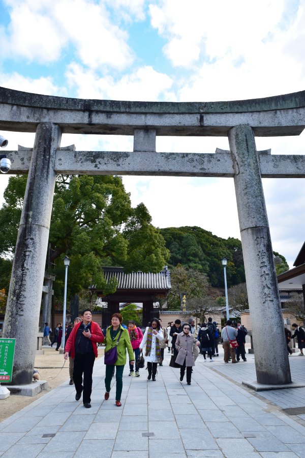 日韩邮轮游自由行,日韩航线邮轮旅游