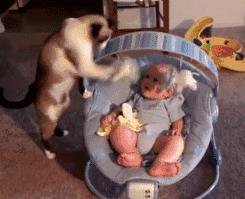 儿童搞笑动图gif图,搞笑gif趣图小朋友你没事吧