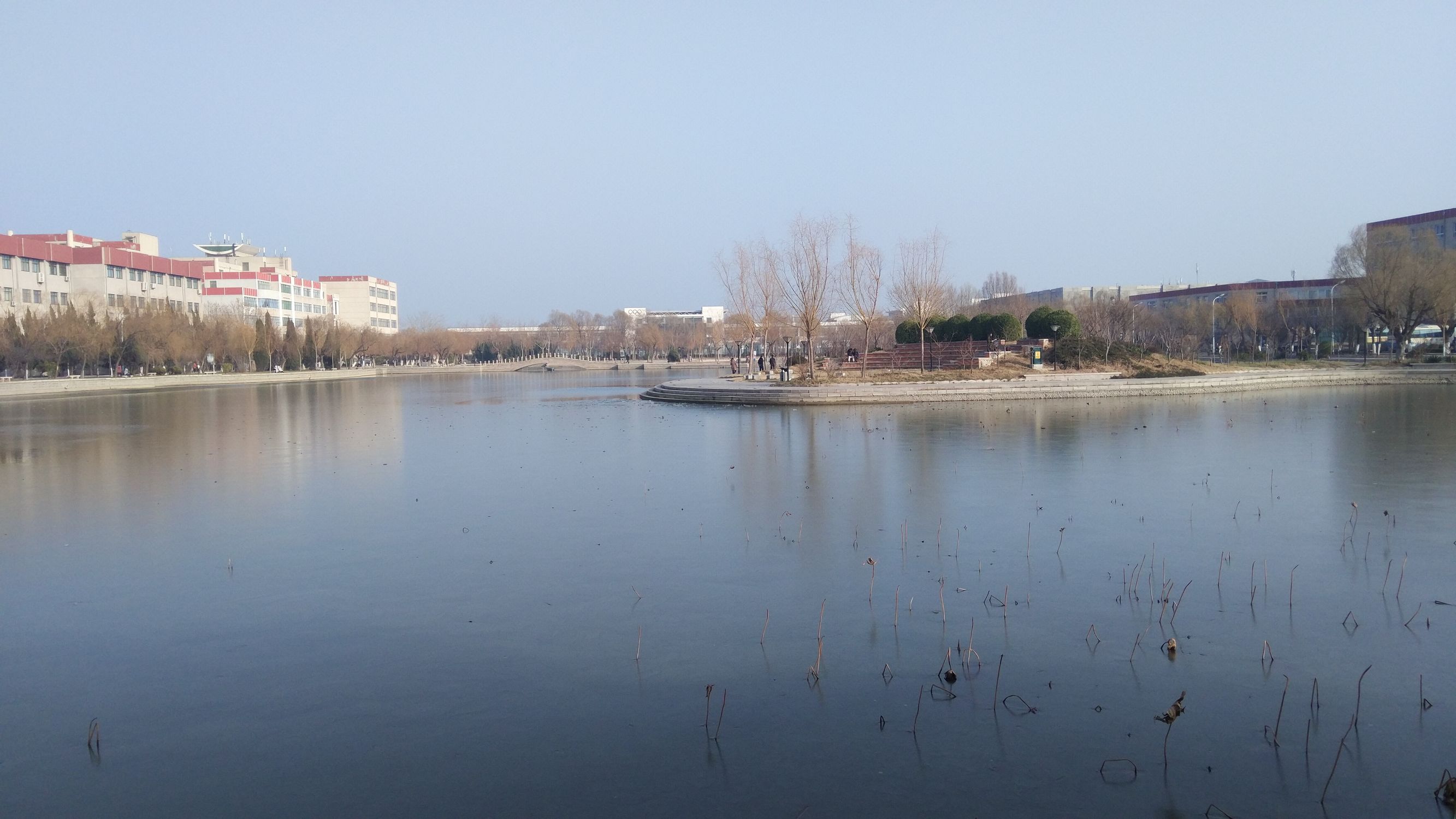 taster手机是什么意思,taster最新版