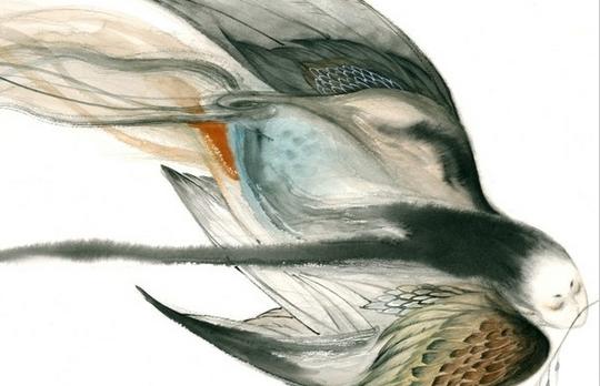 衣服露天过夜染血迹，孩子失魂，原是产妇鬼姑获鸟摄魂寻子