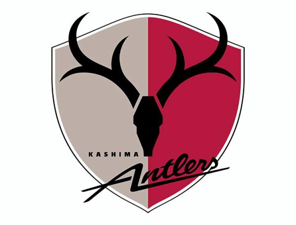 足球队徽的要素,足球队徽要求有科技感