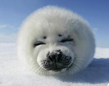 做了双眼皮后眼皮按压痛,为什么割了双眼皮牙会痛