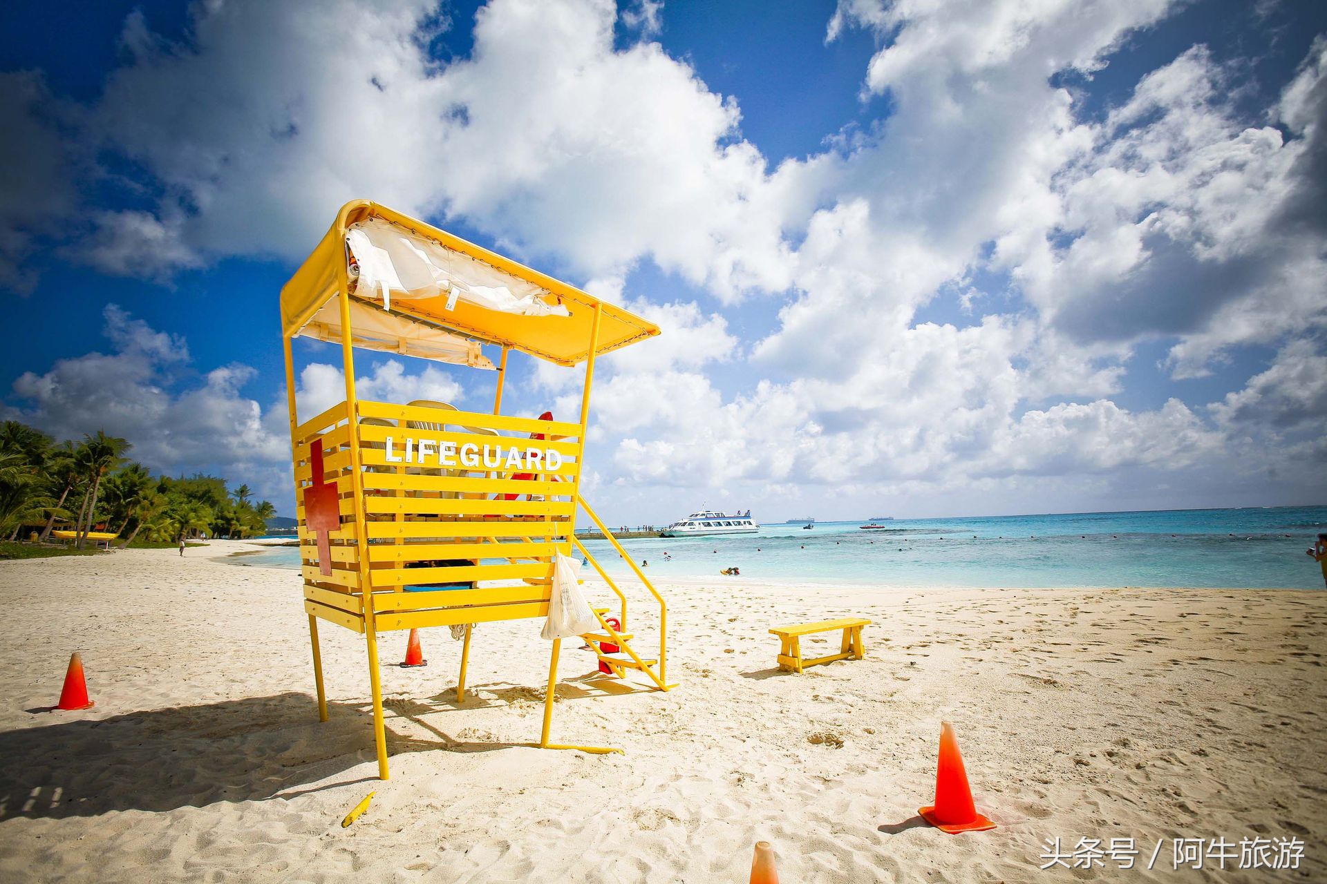 春日美丽的景色,春日里的风景美景