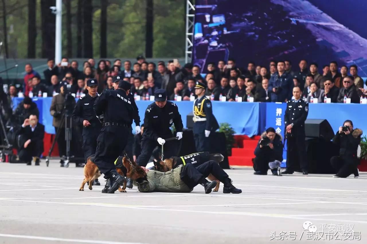 浜哄湪姹熸箹鐪熷疄闀栧眬瑙嗛,浜哄湪闀栧眬