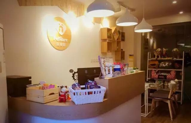 成都宠物寄养基地,成都狗狗寄养