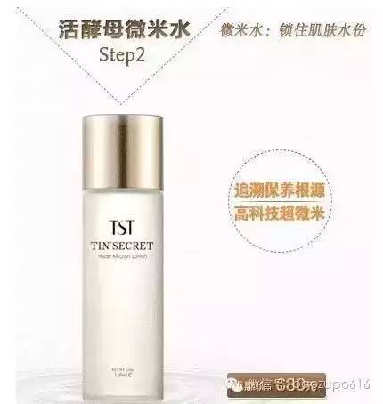 刘嘉玲张庭,刘嘉玲和张庭