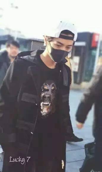 刘嘉玲张庭,刘嘉玲和张庭