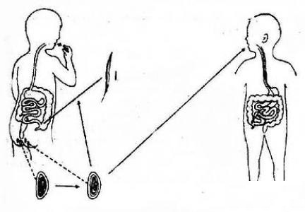 蛲虫病引起的夜惊,蛲虫病半夜会醒吗