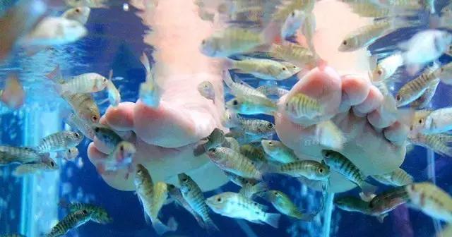 清远英德奇洞温泉度假村,清远市英德奇洞温泉