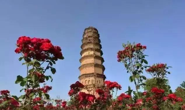 2021年洛阳旅游攻略指南,洛阳旅游攻略2015