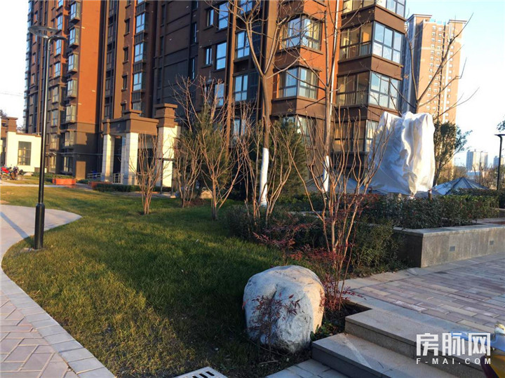 见证西安的发展,见证西安走进碑林